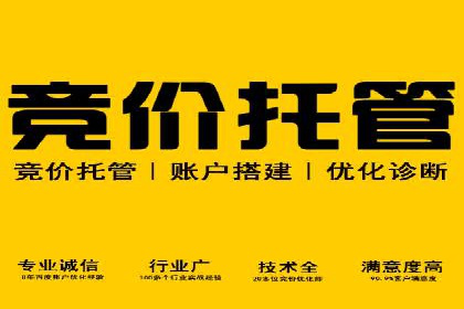 百度广告竞价策略：成功企业的投放技巧与经验